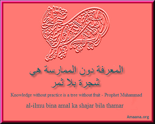 Knowledge without practice is a tree without fruit - Prophet Muhammad - Amaana.org
